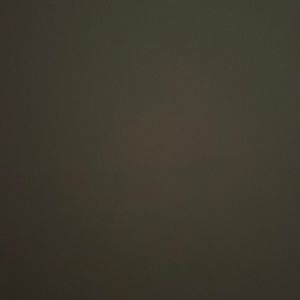 Meet your Posher, Tess